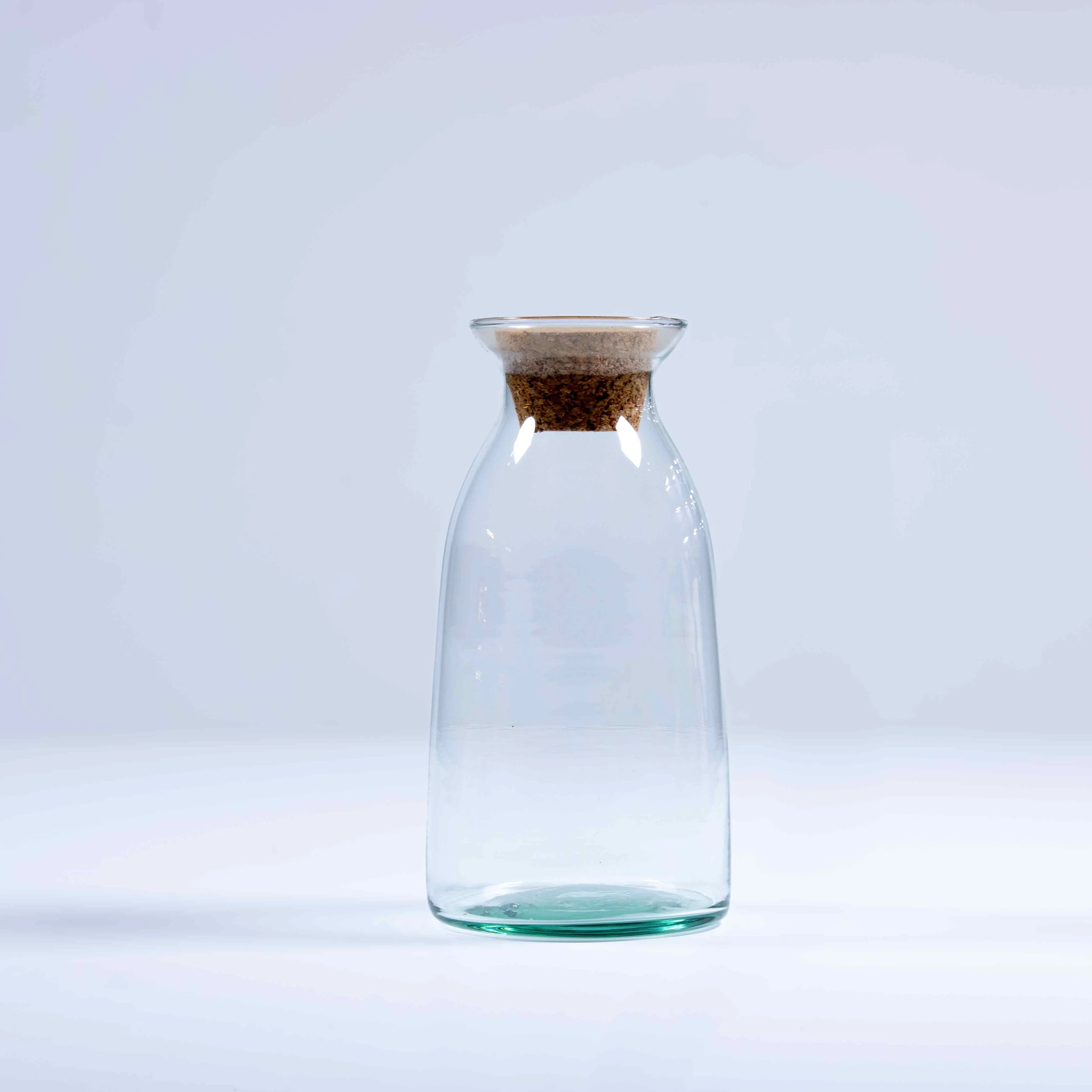 Bottle Terrarium Container
