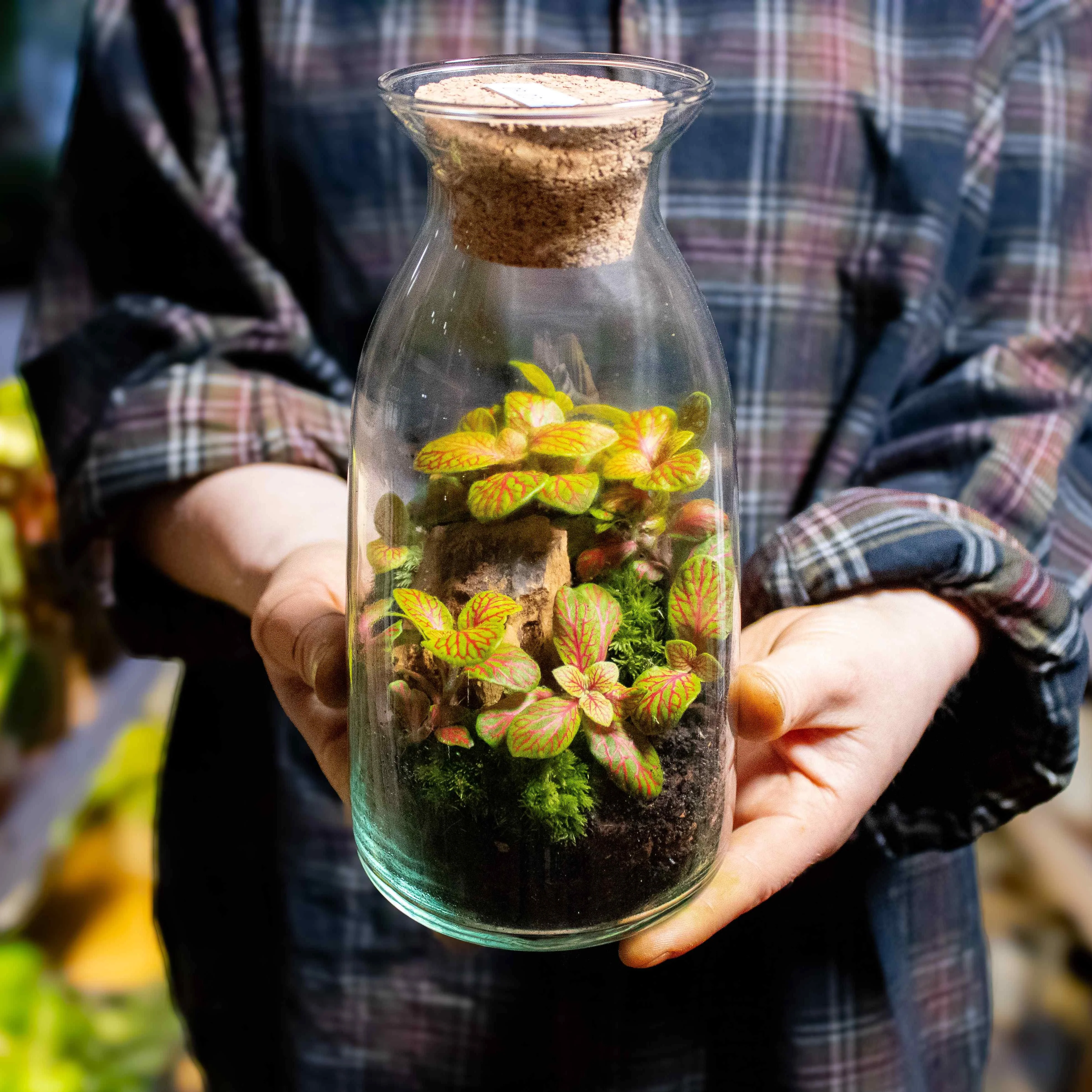 Bottle Terrarium Container - Image 2