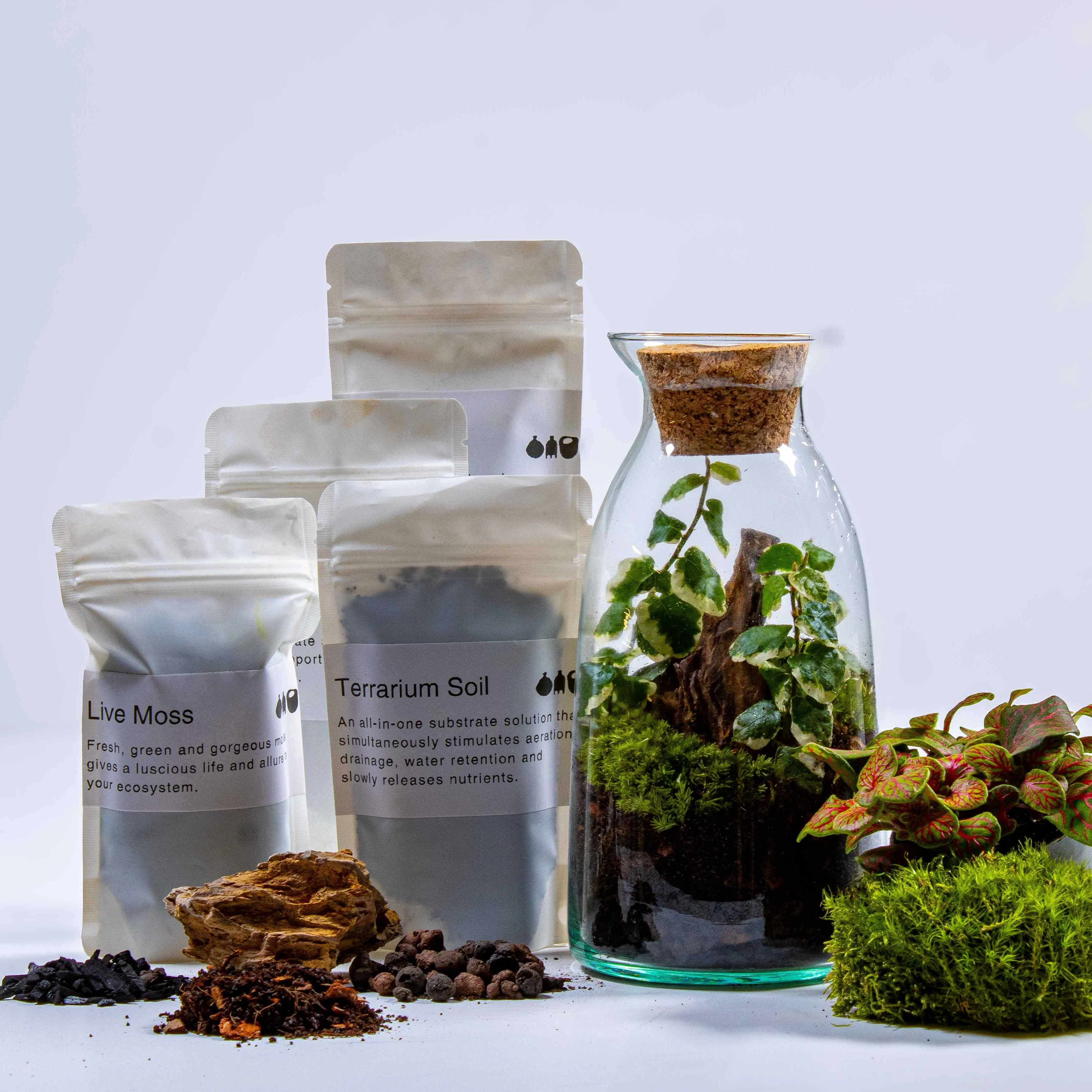 Bottle Terrarium Kit
