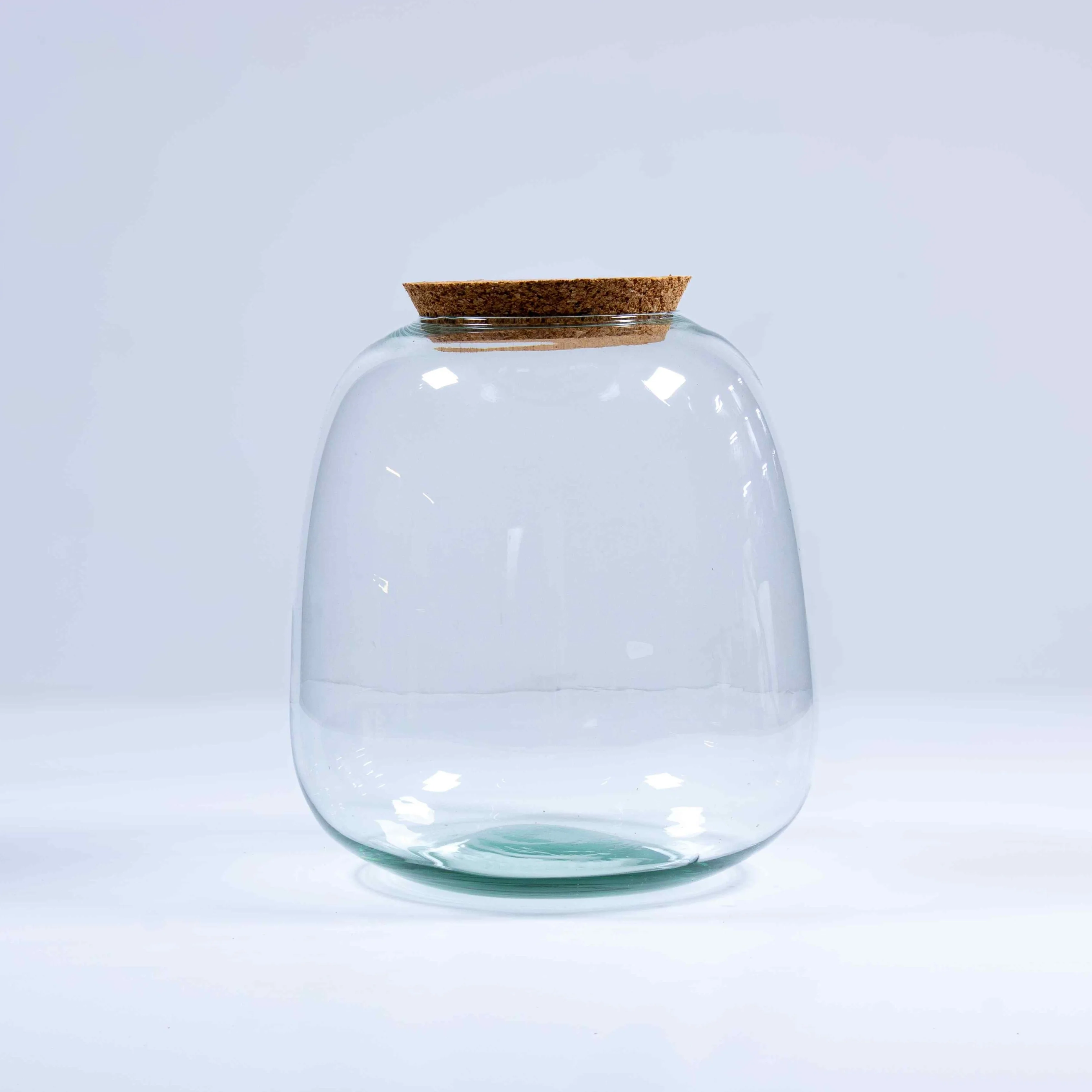 Bulb Terrarium Container