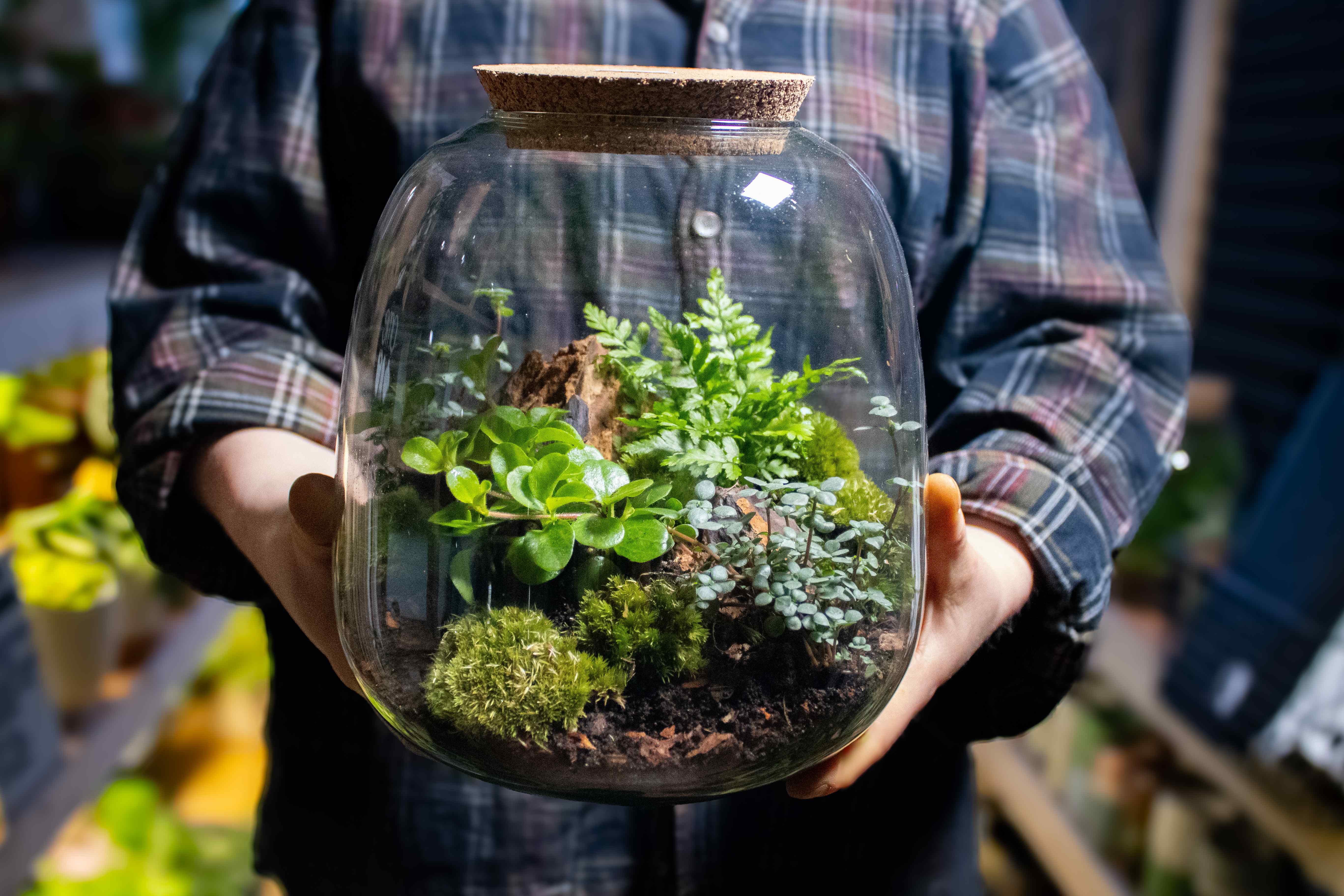 Bulb Terrarium Container - Image 2