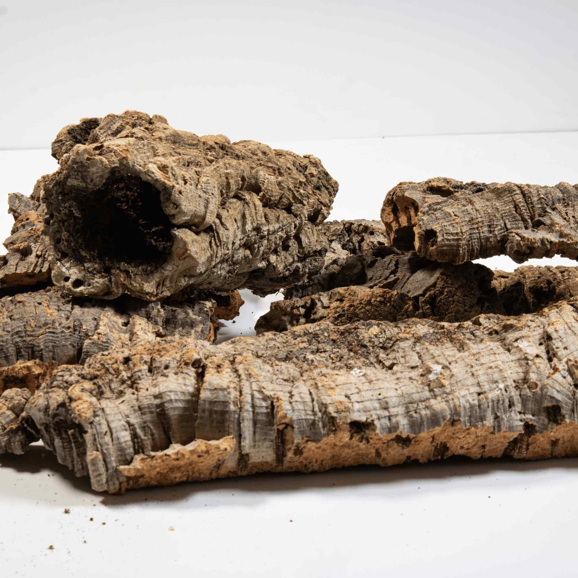 Cork Bark
