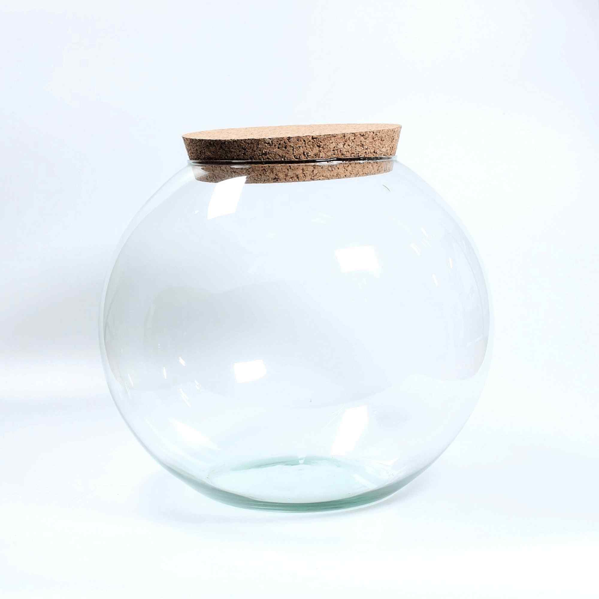 Globe Terrarium Container