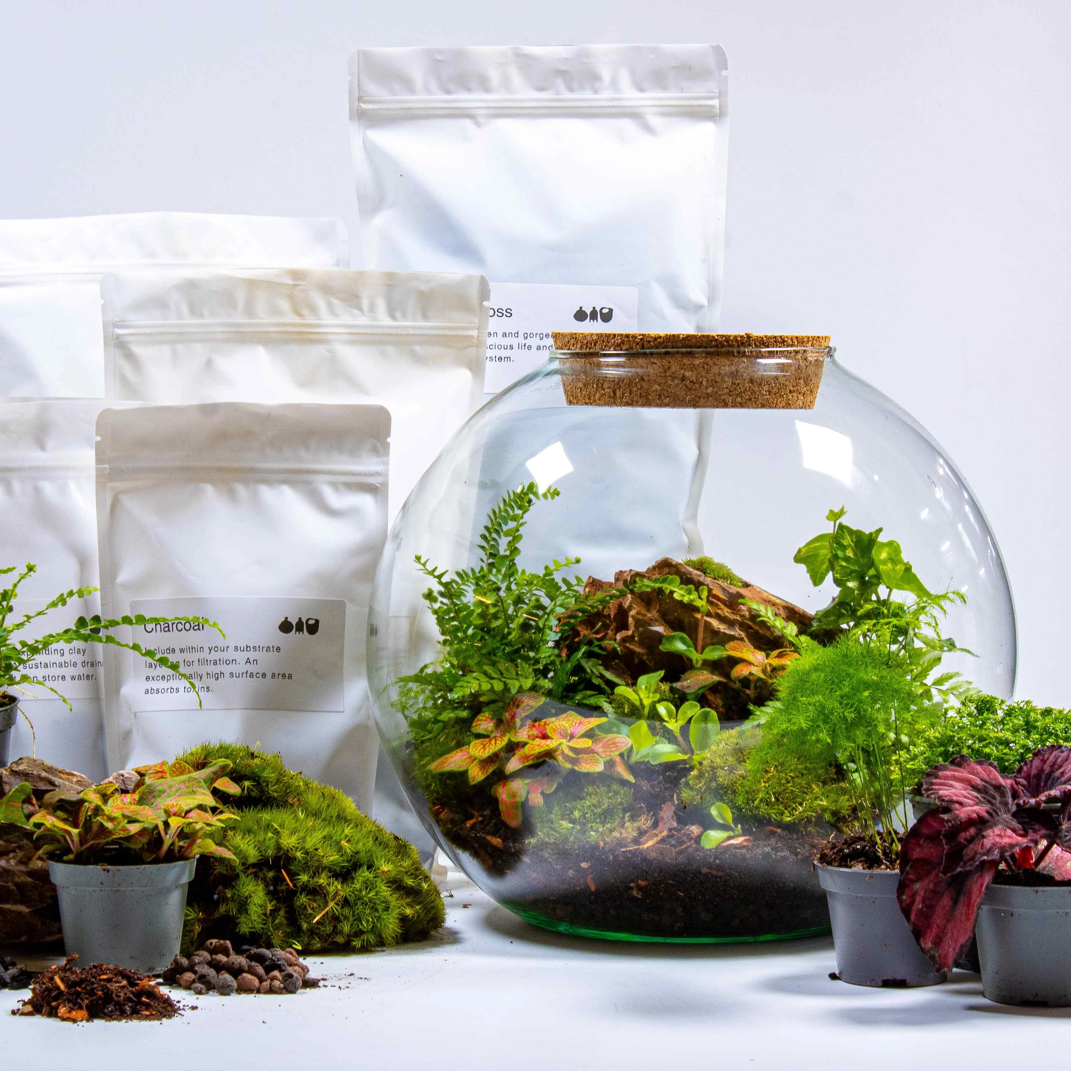 Globe Terrarium Kit
