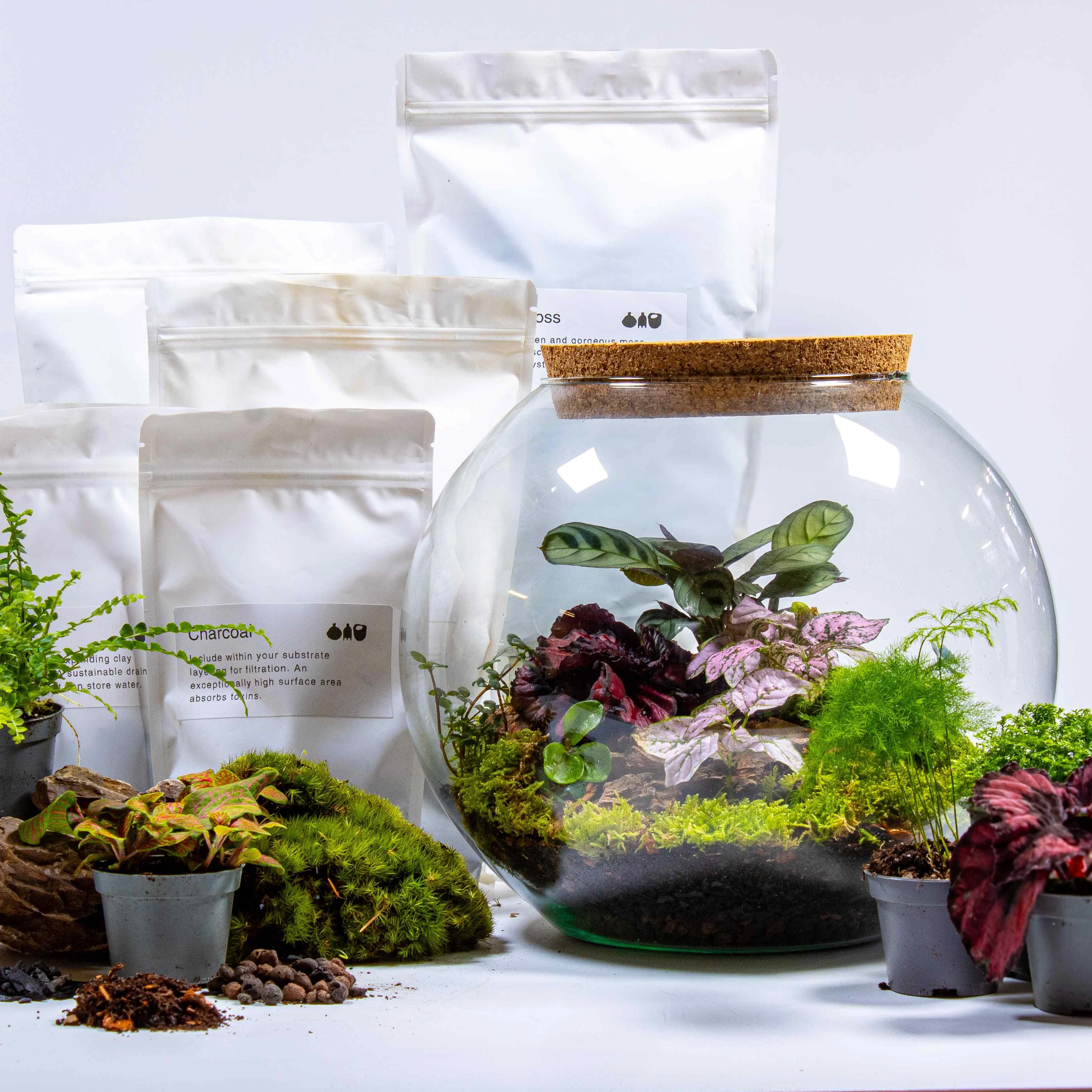 Globe Terrarium Kit - Image 2
