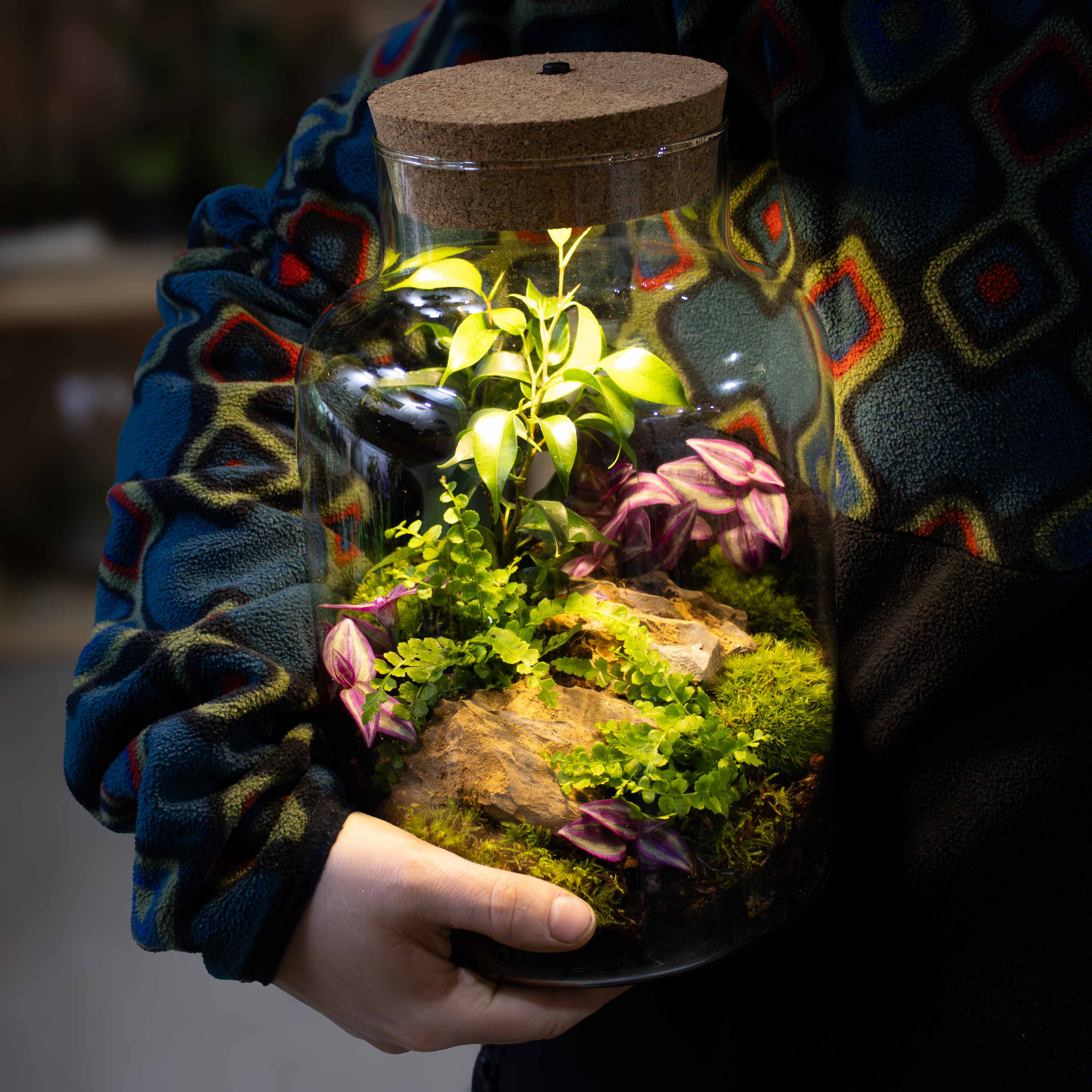 Light-up Terrarium Kit V2