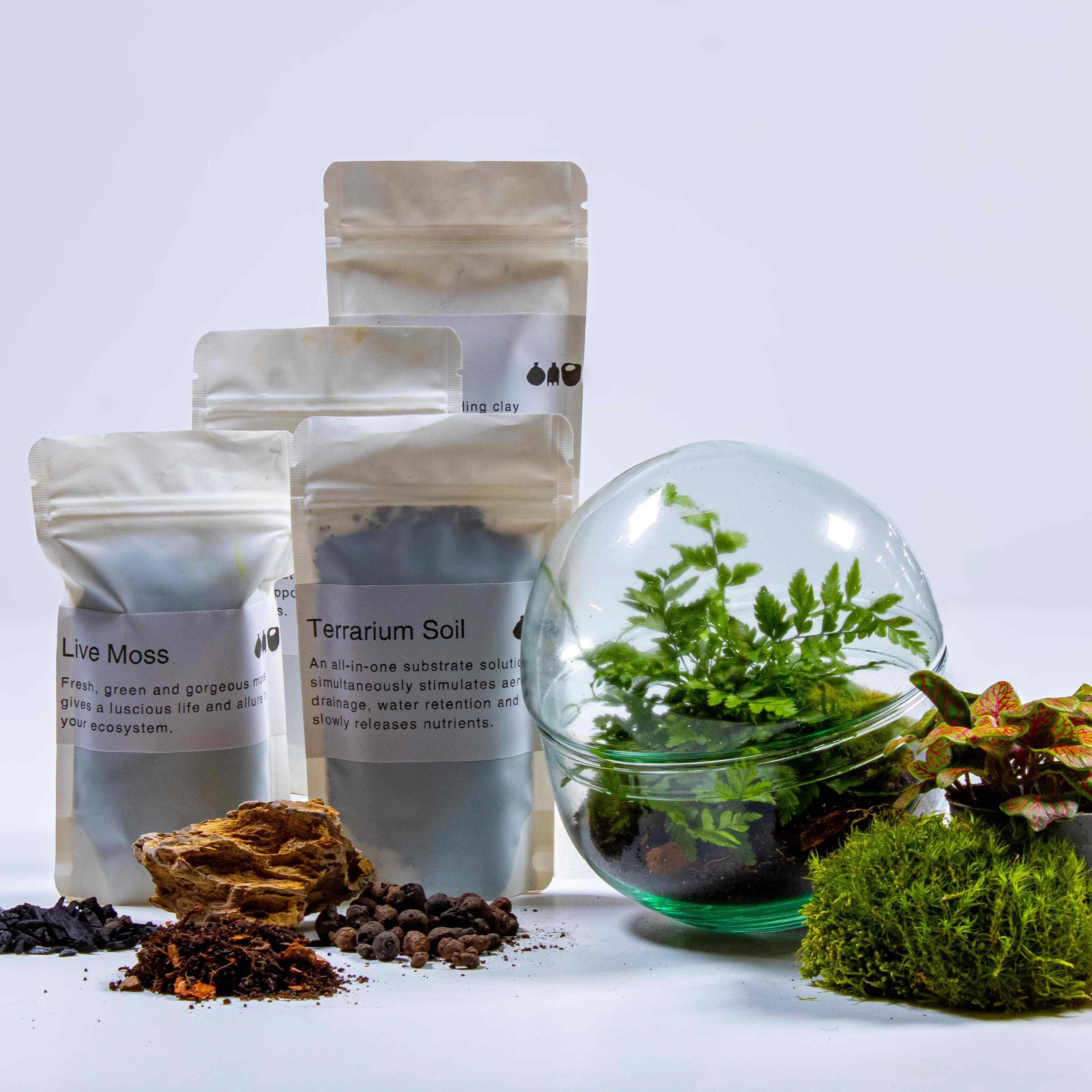 Mini Orb Terrarium Kit