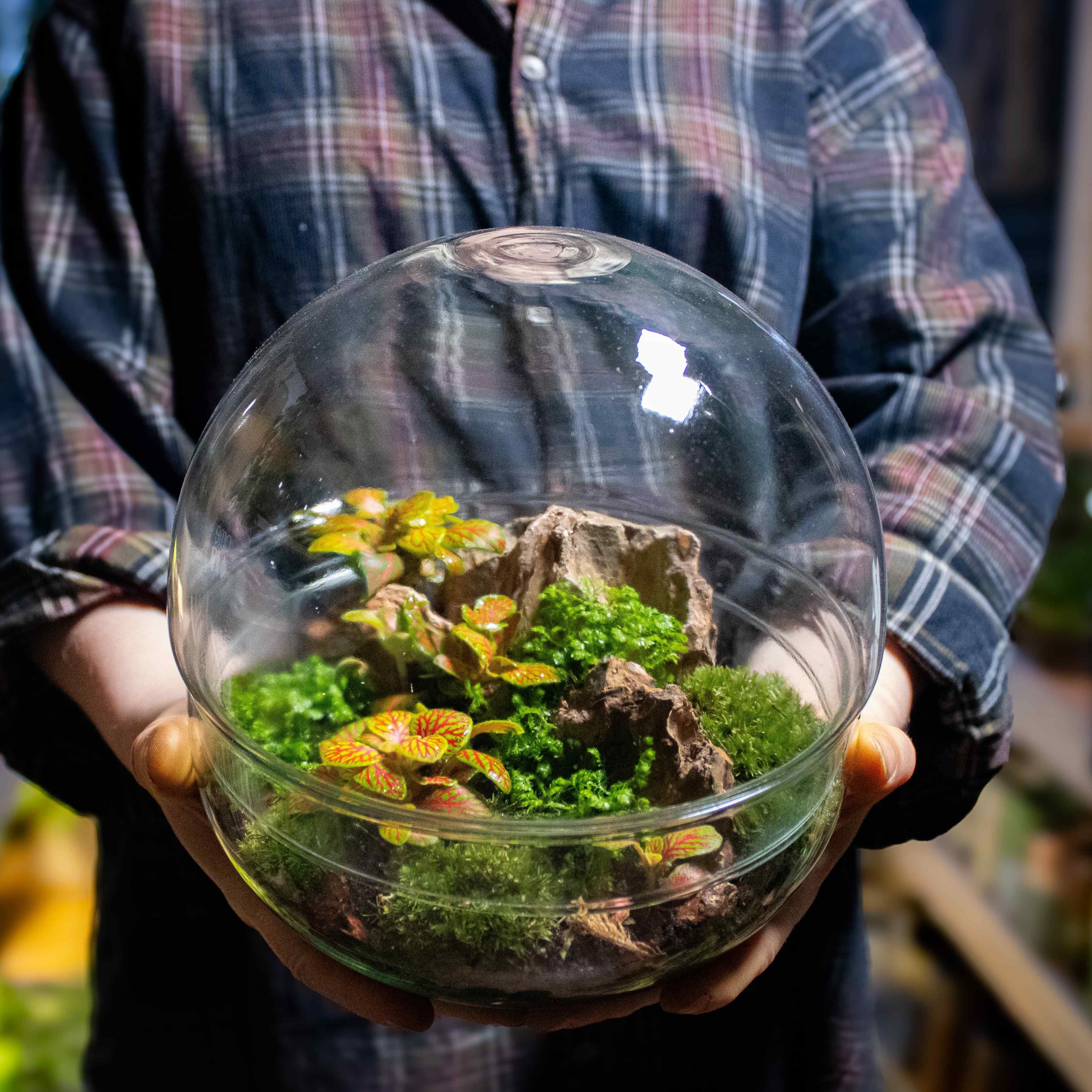 Orb Terrarium Container - Image 2