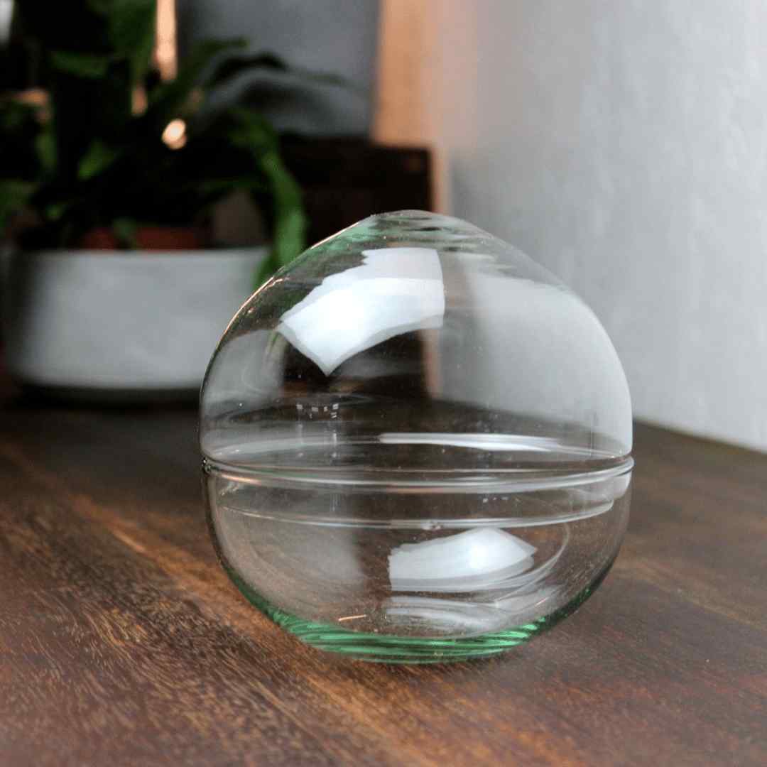 Mini Orb Terrarium Container - Image 2
