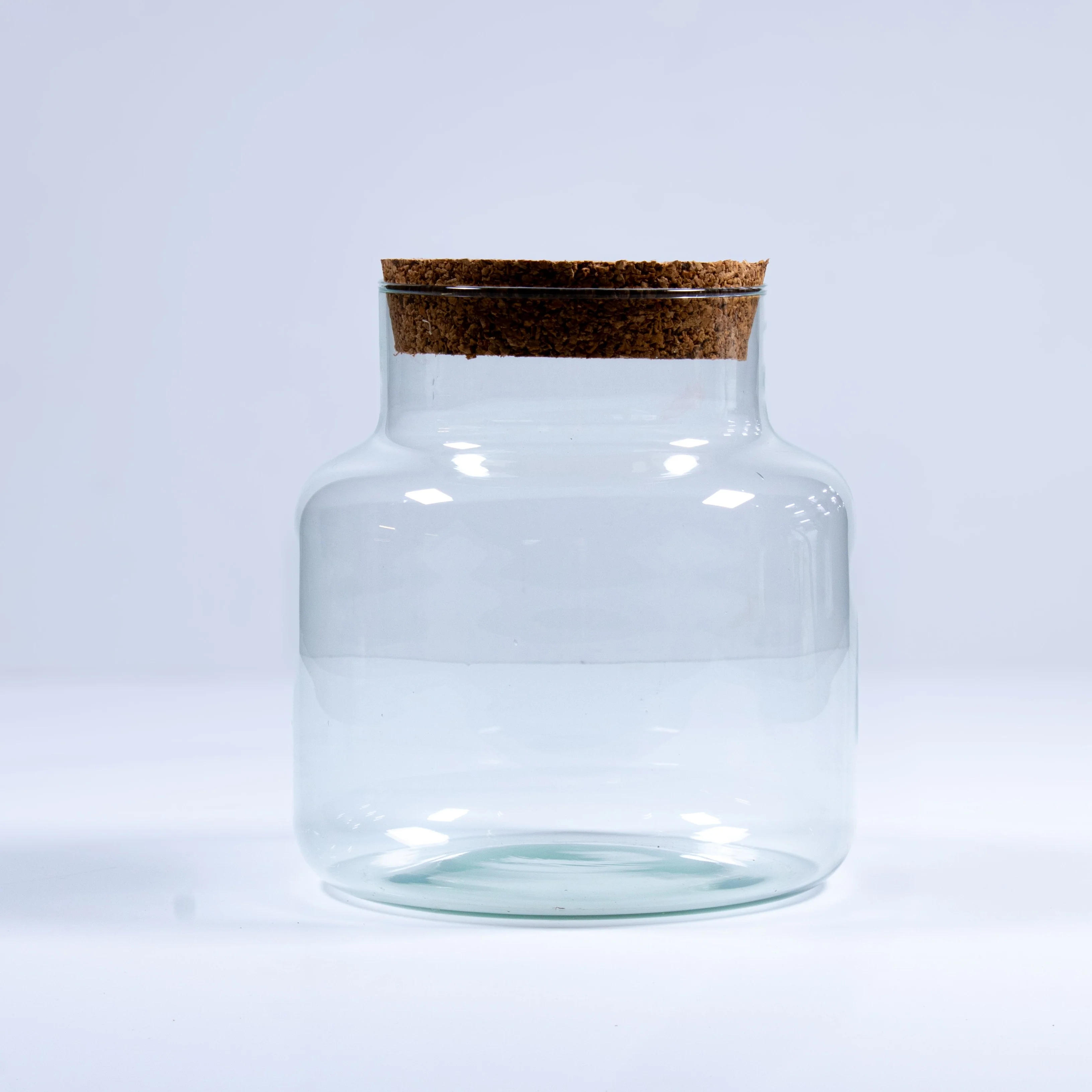 Stout Terrarium Container