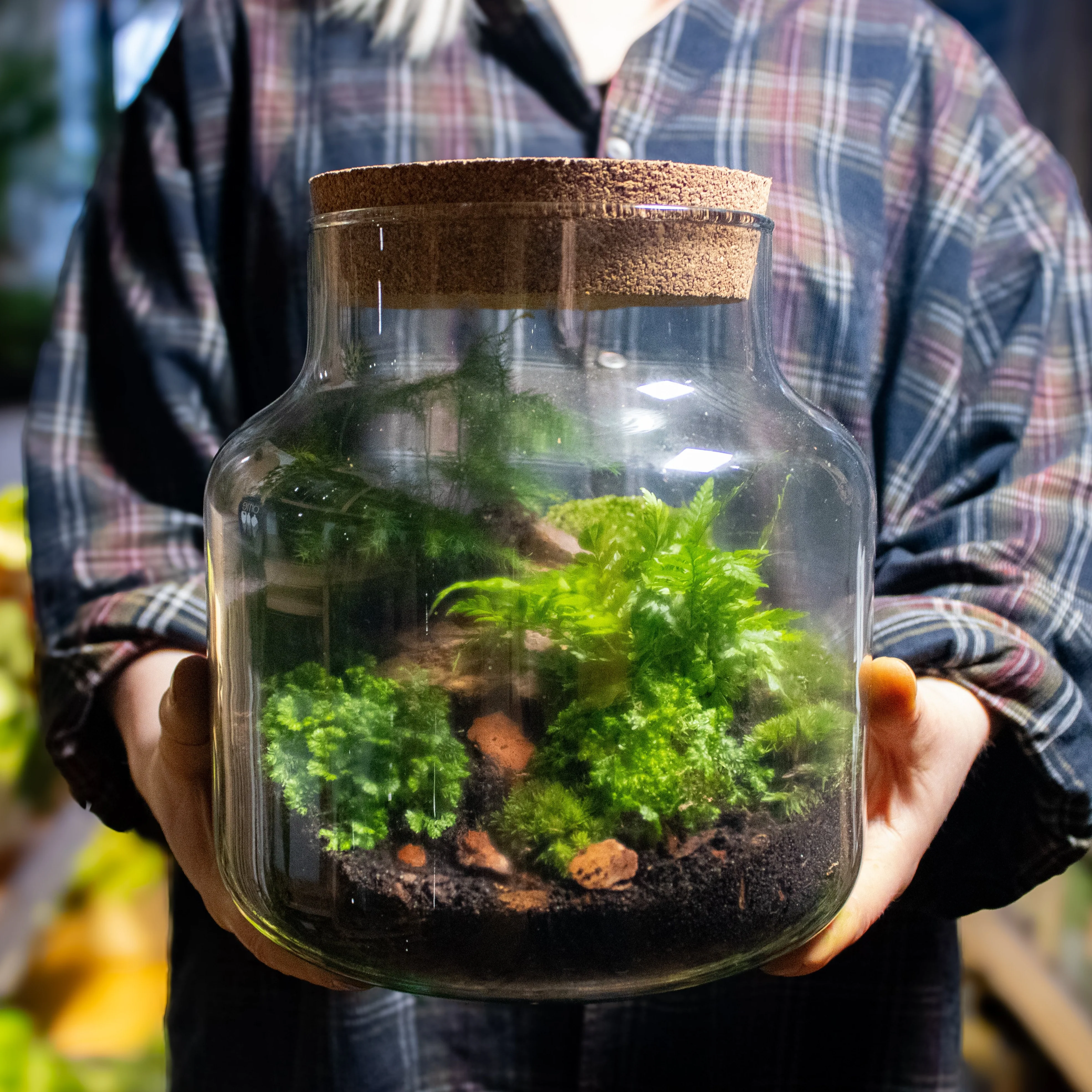 Stout Terrarium Container - Image 2