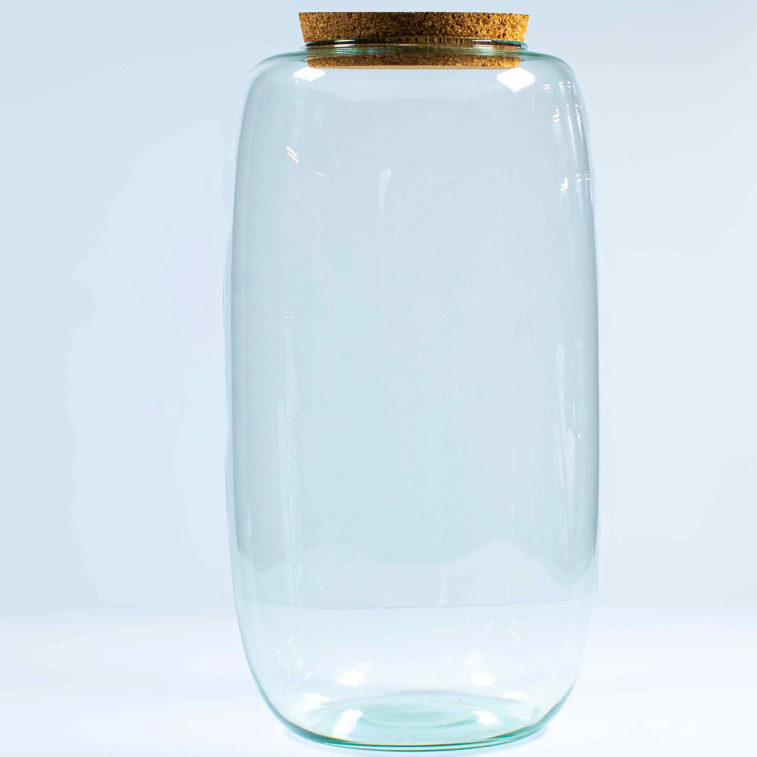 Tall Terrarium Container